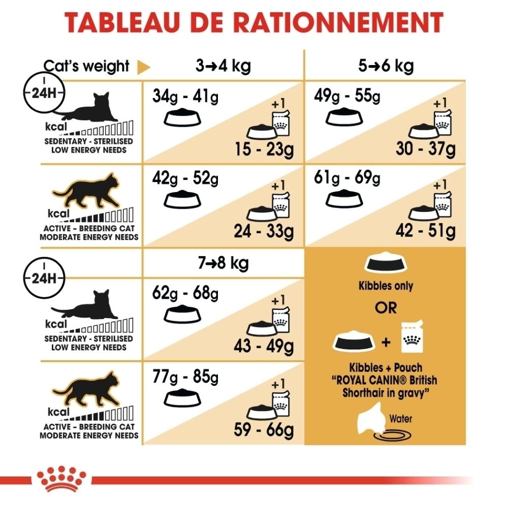 Tableau d'alimentation pour chats selon le poids et le niveau d'activité, avec les quantités recommandées de croquettes et de nourriture humide.
