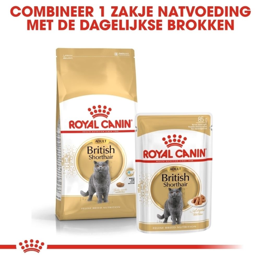 Royal Canin British Shorthair kattenvoer: zak droogvoer en zakje natvoer met kattenafbeelding.
