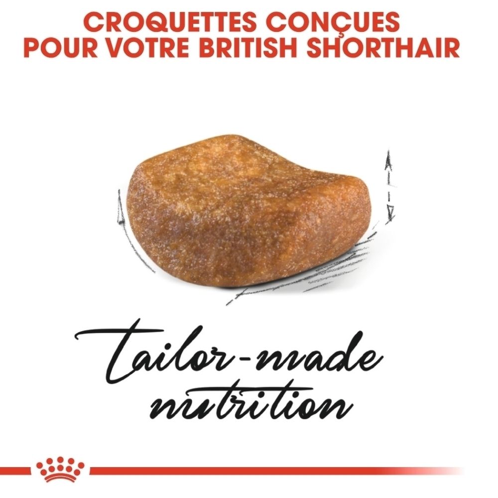 Une croquette marron pour chats British Shorthair, avec indications de dimensions.