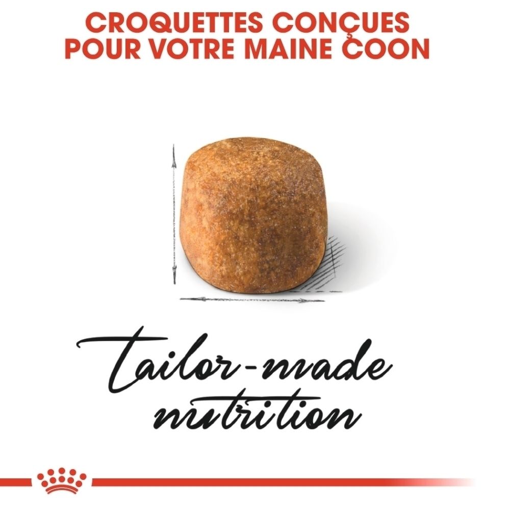 Une seule croquette brune et ovale pour chat, avec indication de taille.