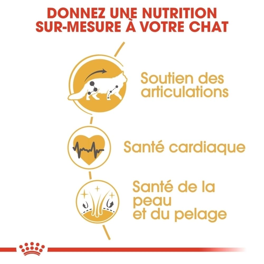 Graphique avec trois icônes : soutien articulaire, santé cardiaque, santé de la peau et du pelage pour chats.