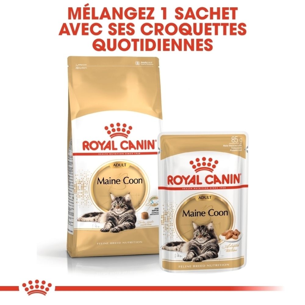 Nourriture pour chat Royal Canin Maine Coon, sac et sachet.