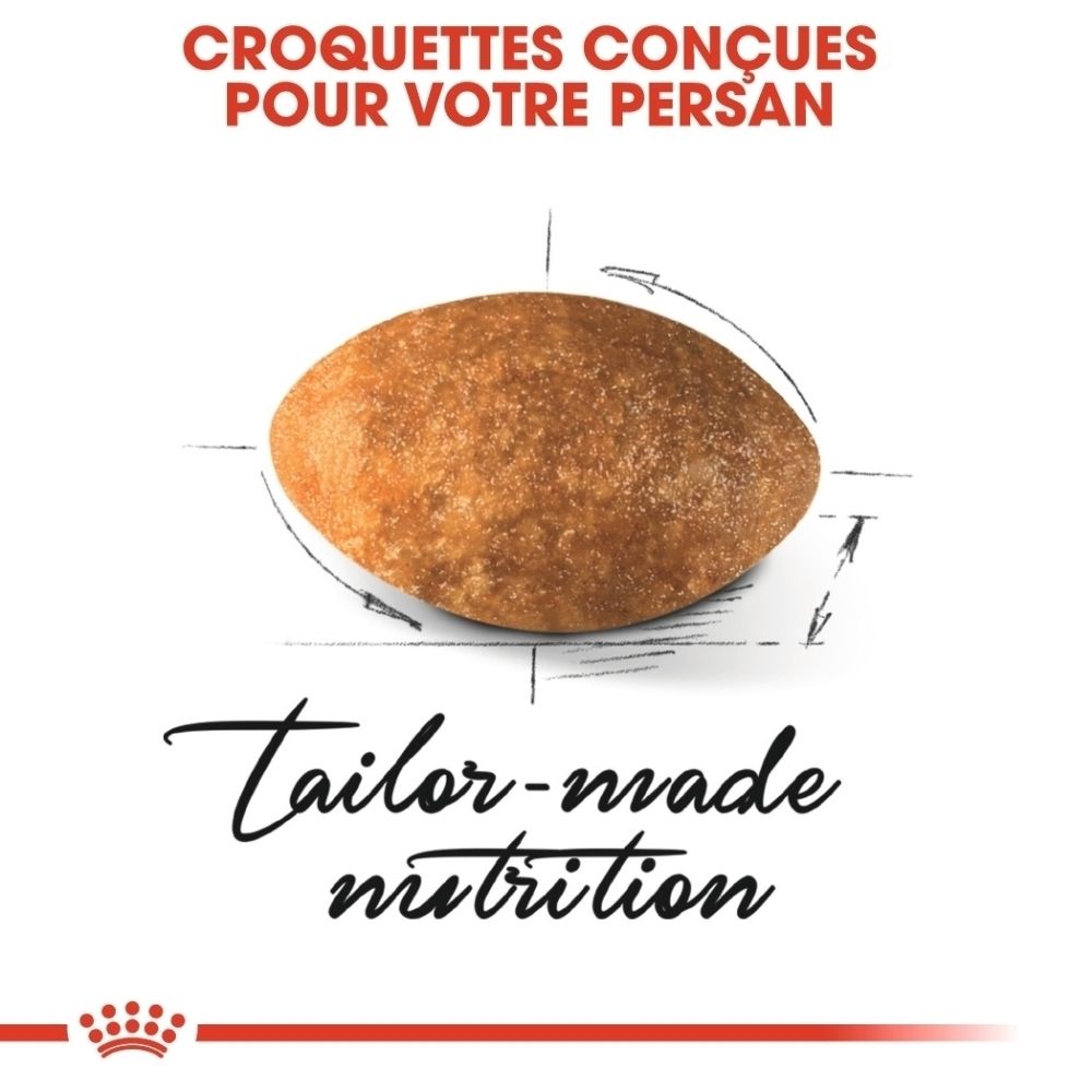 Une seule croquette ovale pour chat, brune et texturée.