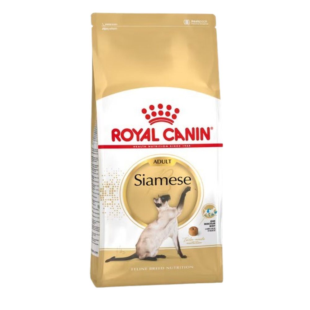 Royal Canin Siamese Adult droogvoer zak. Gouden en witte zak met afbeelding van een Siamees kat.