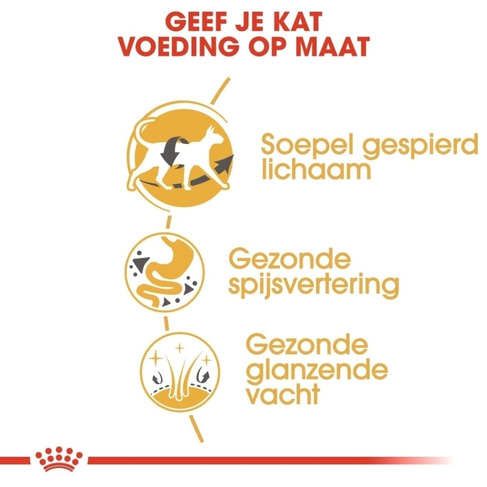Grafiek met drie iconen: soepel lichaam, gezonde spijsvertering, glanzende vacht.