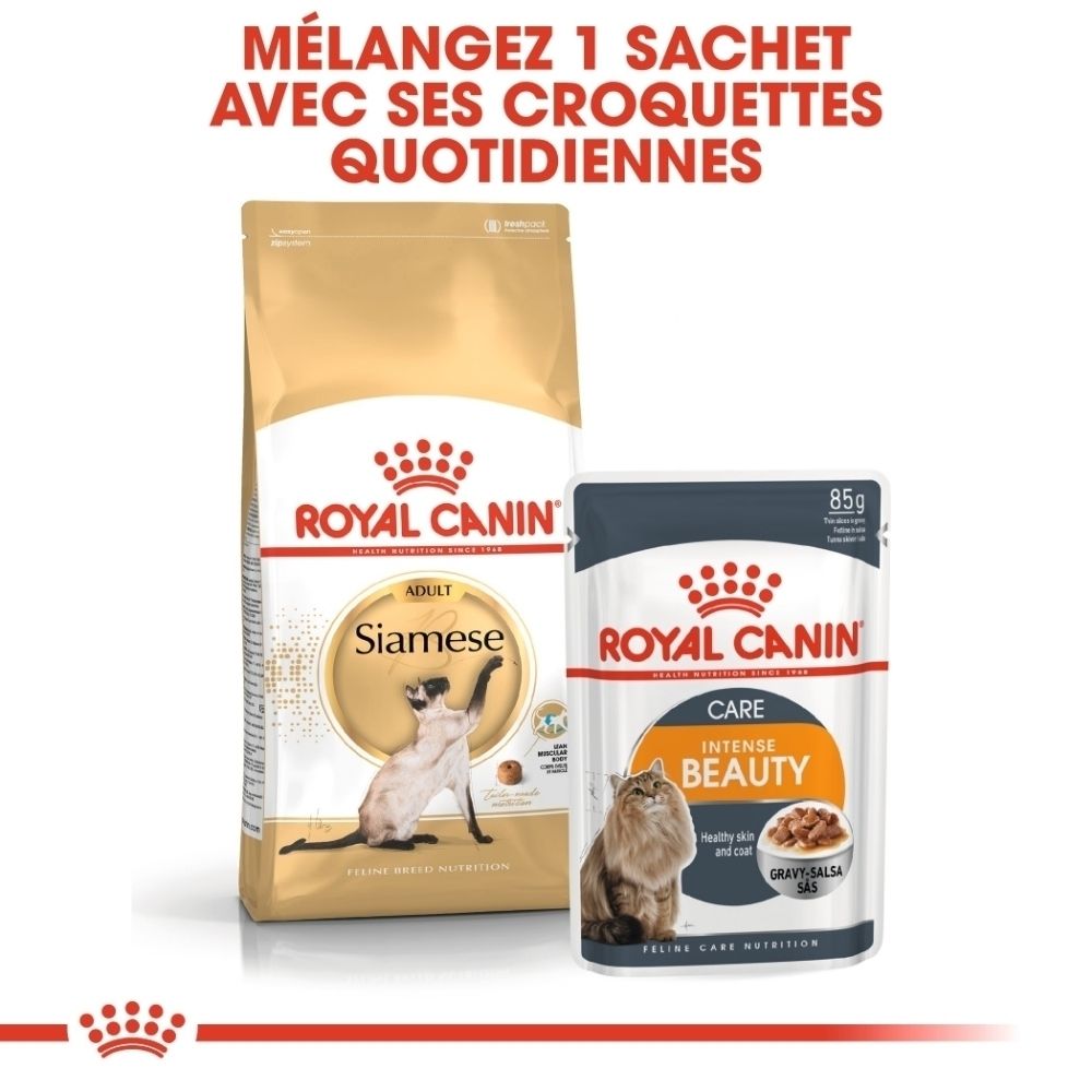 Croquettes Royal Canin pour chats siamois et une pochette de nourriture humide pour une beauté intense.