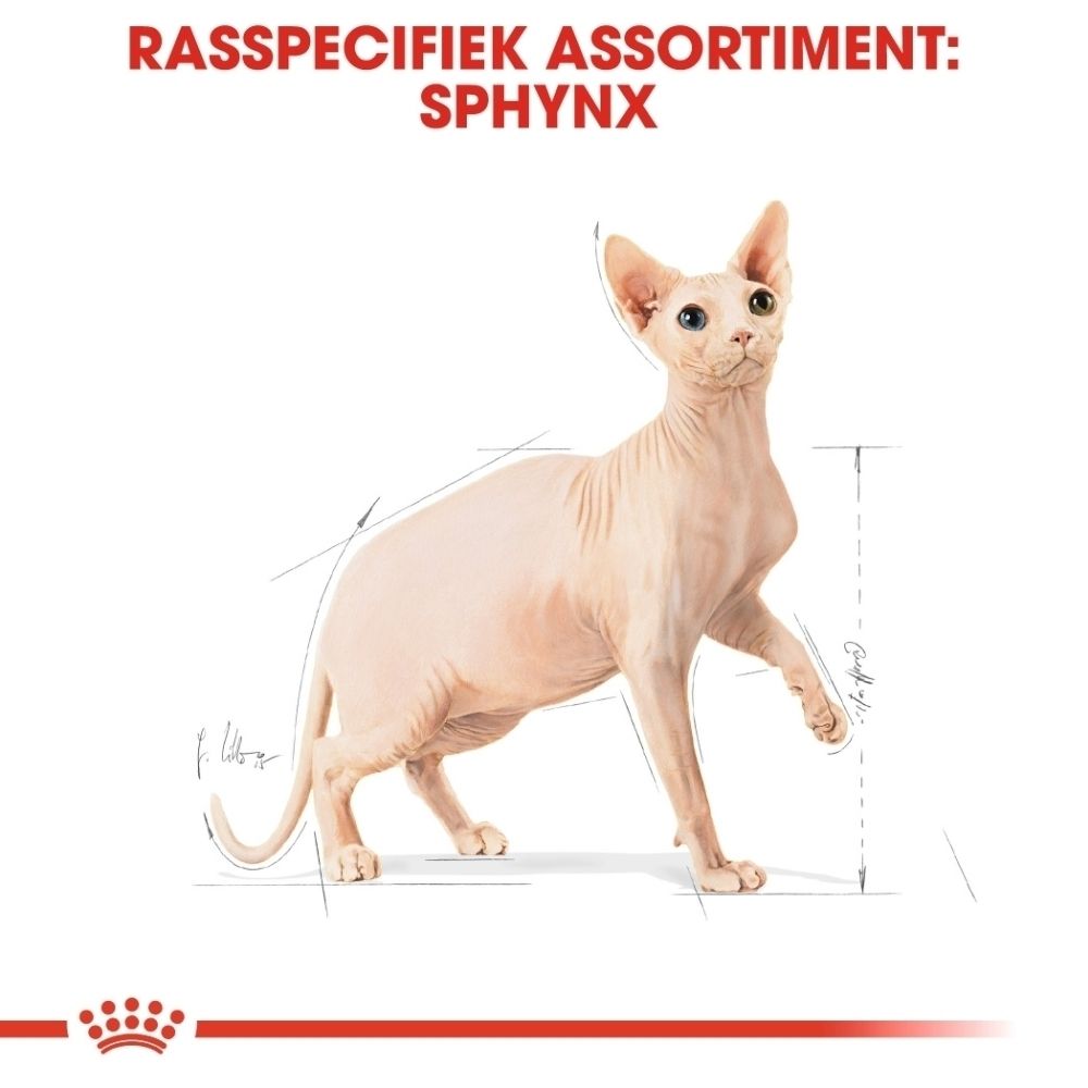 Royal Canin Sphynx: Rasportret van een Sphynx kat met schematische weergave.