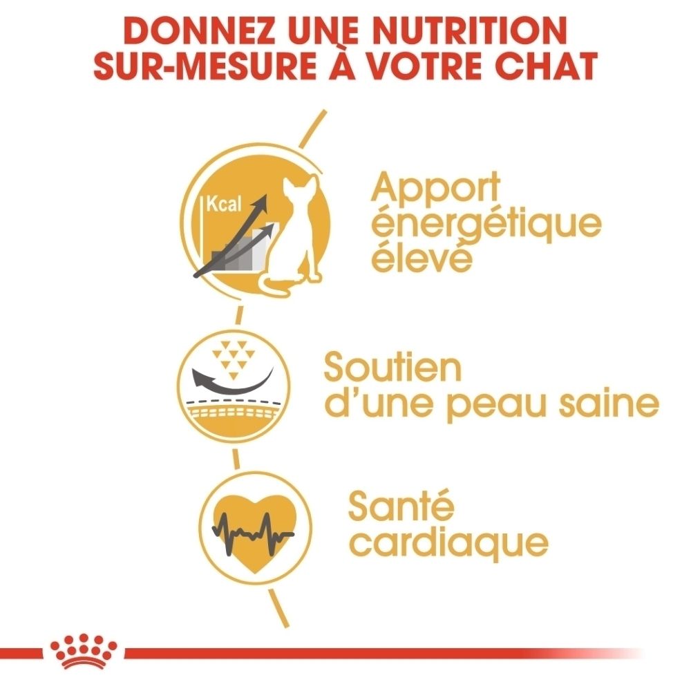 Royal Canin Sphynx: Apport énergétique élevé, soutien peau saine, santé cardiaque.
