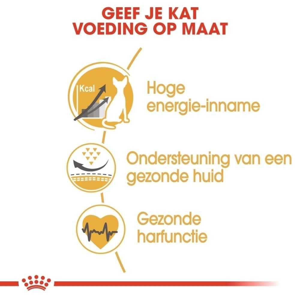Royal Canin Sphynx: Hoge energie-inname, ondersteuning gezonde huid, hartfunctie.