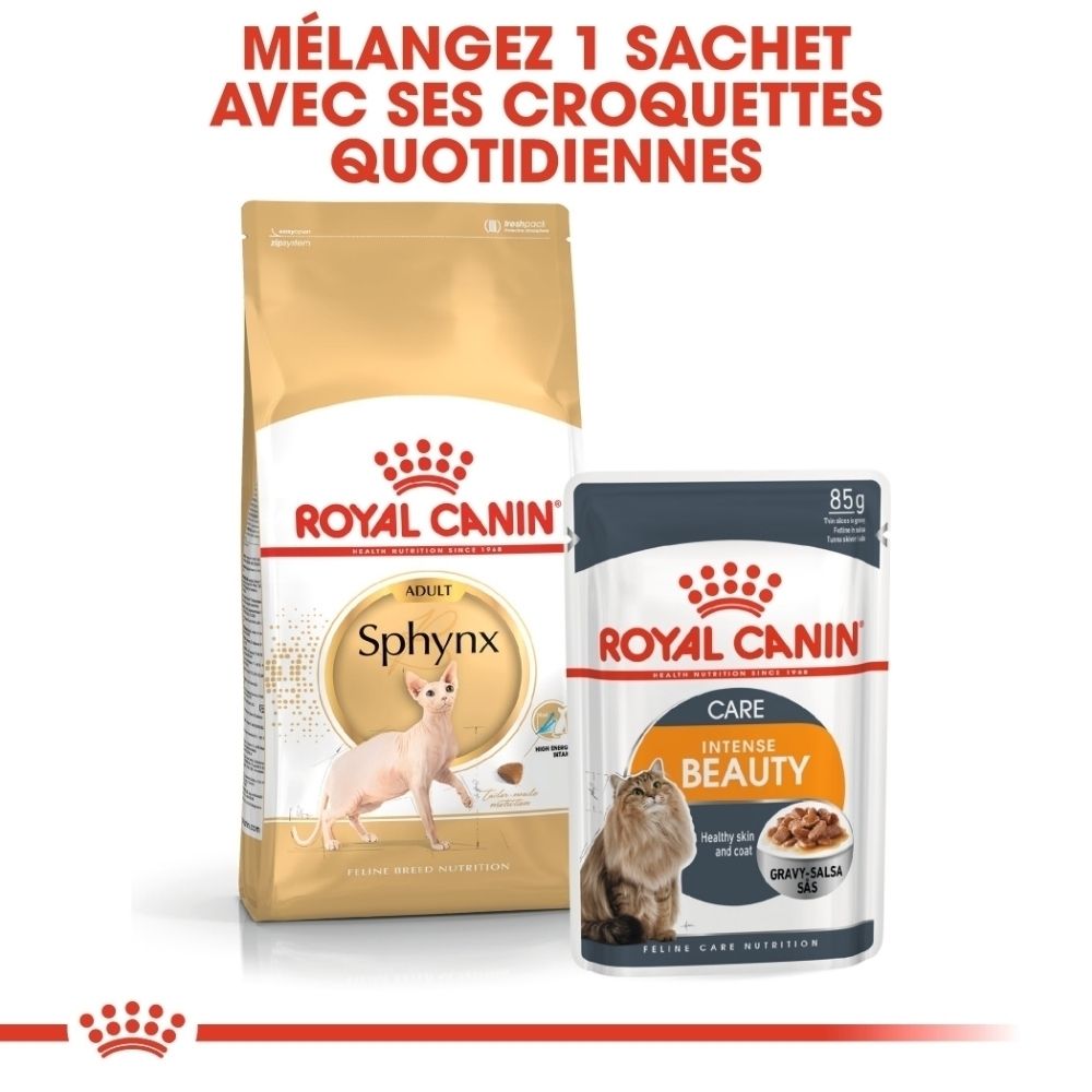 Croquettes Royal Canin Sphynx et sachet de nourriture humide 'Intense Beauty'.