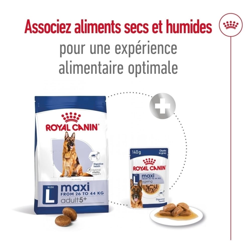 Adaptation de la nourriture à l'âge du chien : Royal Canin Maxi Adult 5+.
