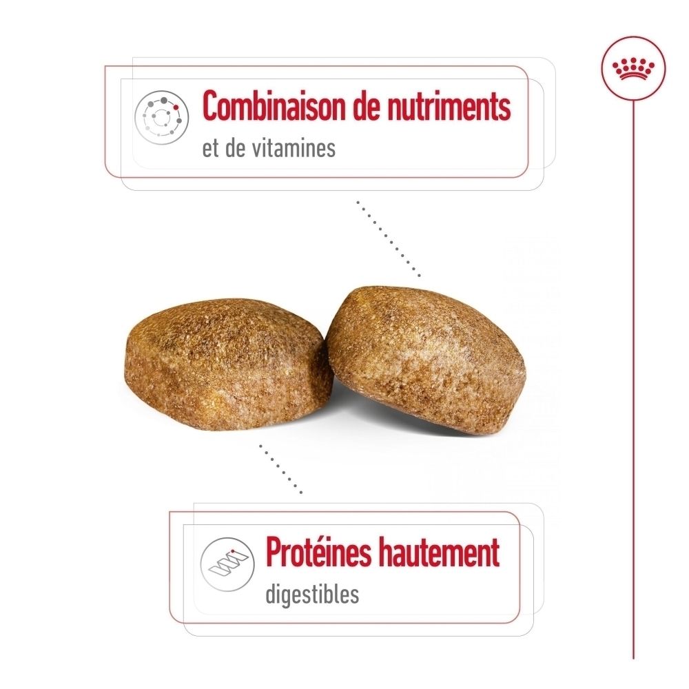 Deux croquettes ovales et brunes à surface irrégulière. En haut : "Combinaison de nutriments et de vitamines". En bas : "Protéines hautement digestibles".
