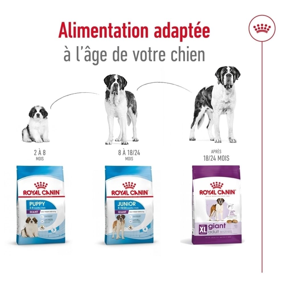 Trois sacs de nourriture pour chien : chiot, junior, XL géant. Adapté à l'âge du chien.