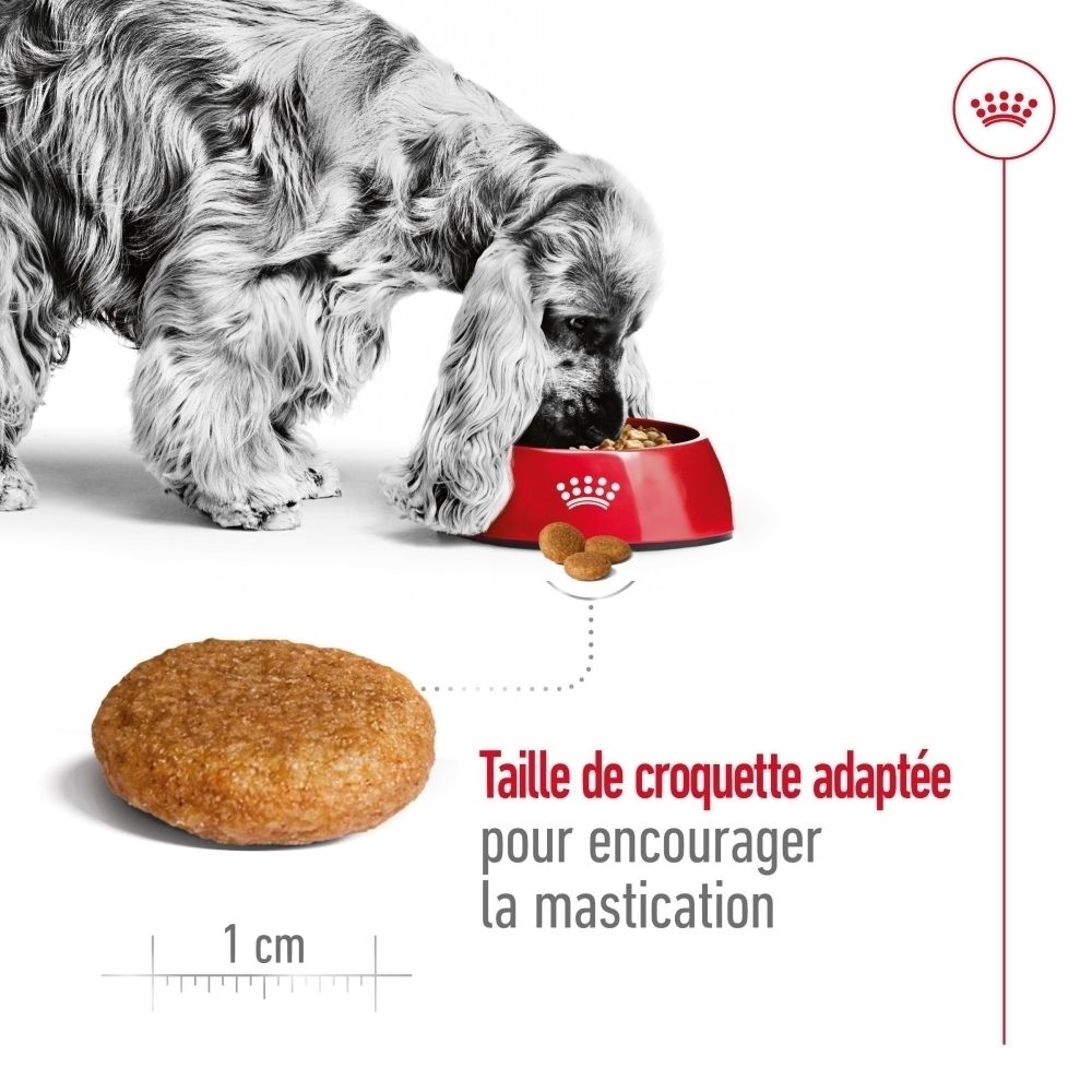 Chien mangeant dans une gamelle, à côté une croquette de nourriture pour chien avec indication de taille.
