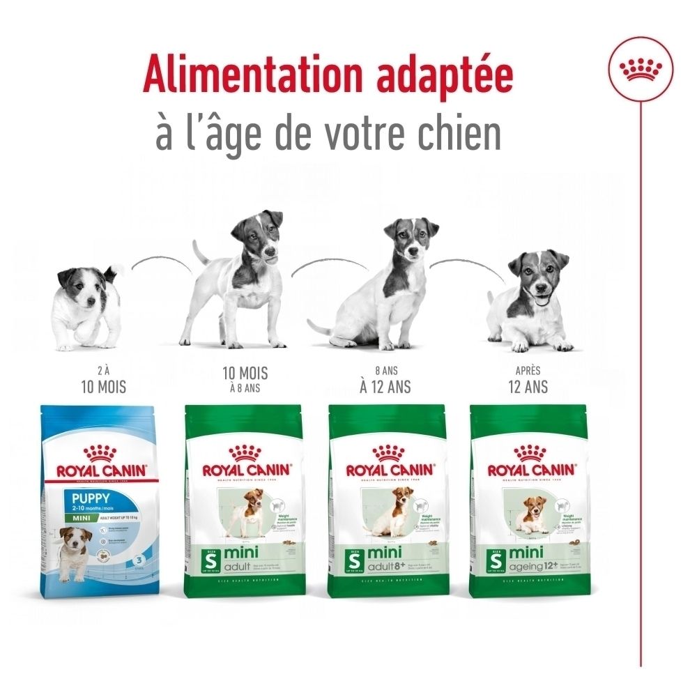 Vue latérale d'un sac de nourriture ROYAL CANIN Mini Adult, taille S, 2 kg. Avec informations détaillées.