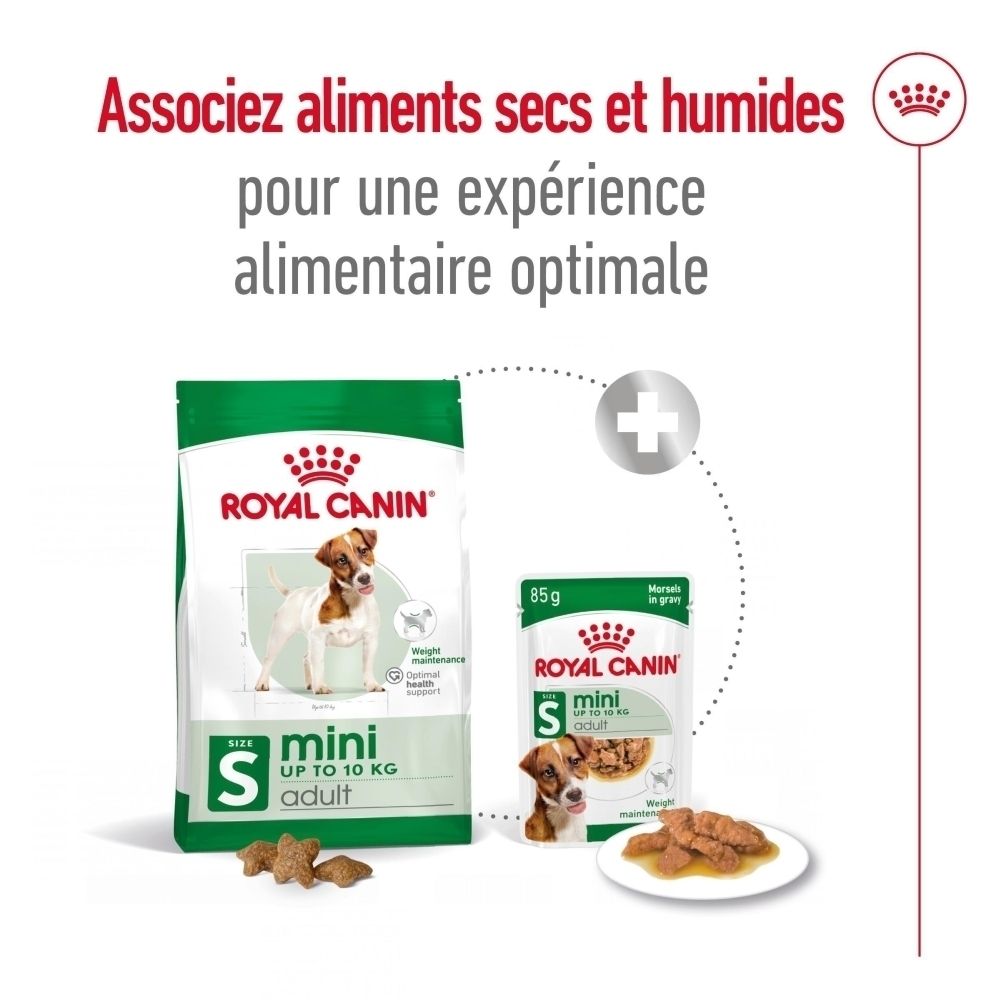 Sac de nourriture ROYAL CANIN Mini Adult, taille S, jusqu'à 10 kg. Avec l'image d'un Jack Russell Terrier.