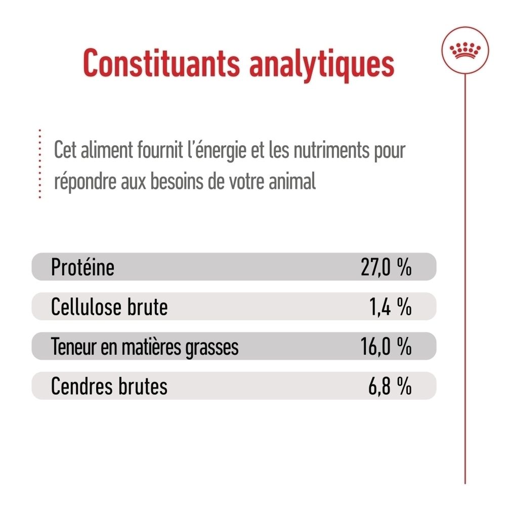 Sac de nourriture ROYAL CANIN Mini Adult, taille S, jusqu'à 10 kg. Montre un Jack Russell Terrier et les avantages du produit.