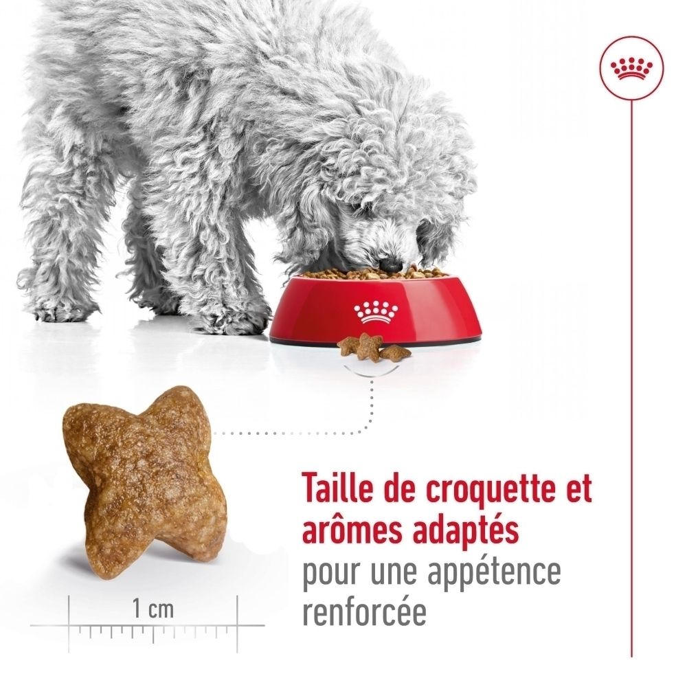 Sac de croquettes ROYAL CANIN Mini Adult pour chien, 4kg, vue de face avec chien et caractéristiques produit.