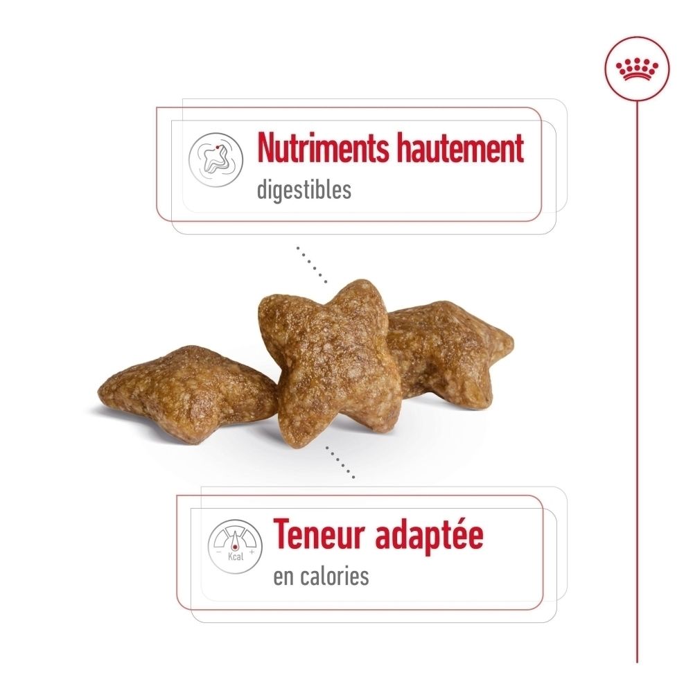 Trois croquettes en forme d'étoile ROYAL CANIN® Mini Adult, montrant une haute digestibilité et une teneur calorique adaptée.