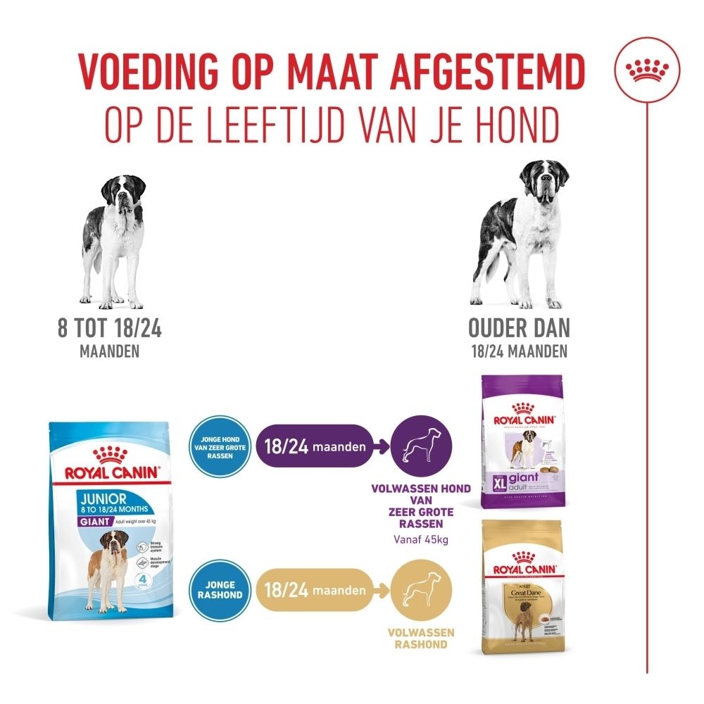 Overzicht van de voerovergang voor Royal Canin Junior Giant, getoond in dagen en mengverhoudingen.