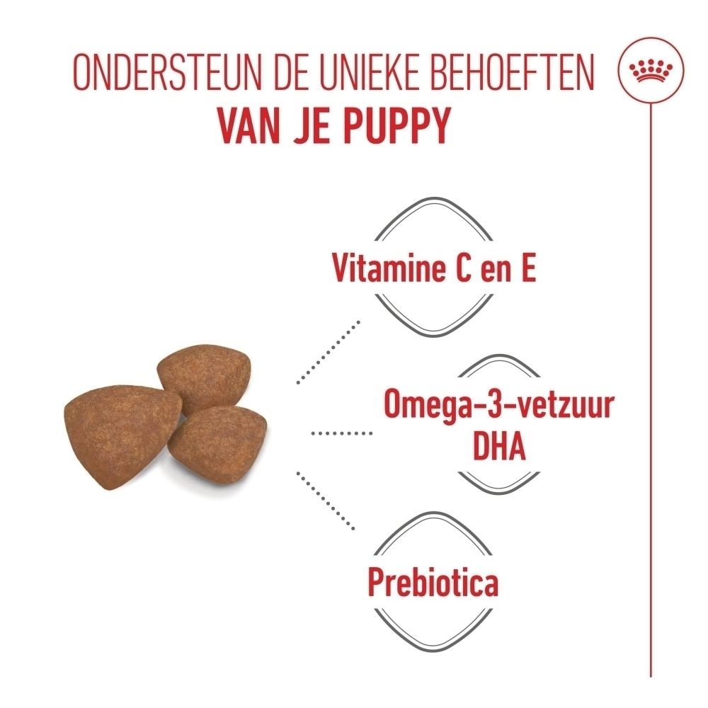 Drie bruine brokken naast de teksten 'Vitamine C en E', 'Omega-3-vetzuur DHA' en 'Prebiotica'.