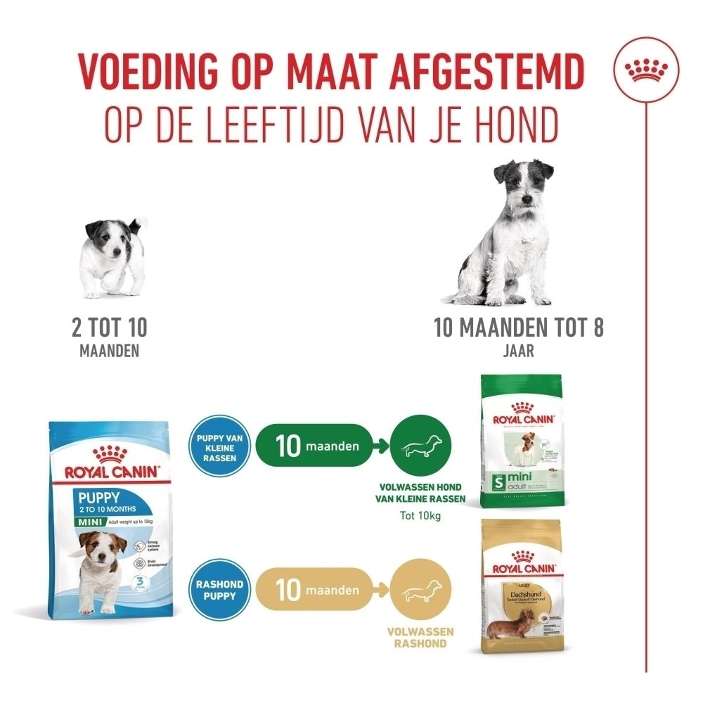 Royal Canin hondenvoer gids per leeftijd: puppyvoer voor 2-10 maanden, volwassenvoer voor 10 maanden tot 8 jaar.