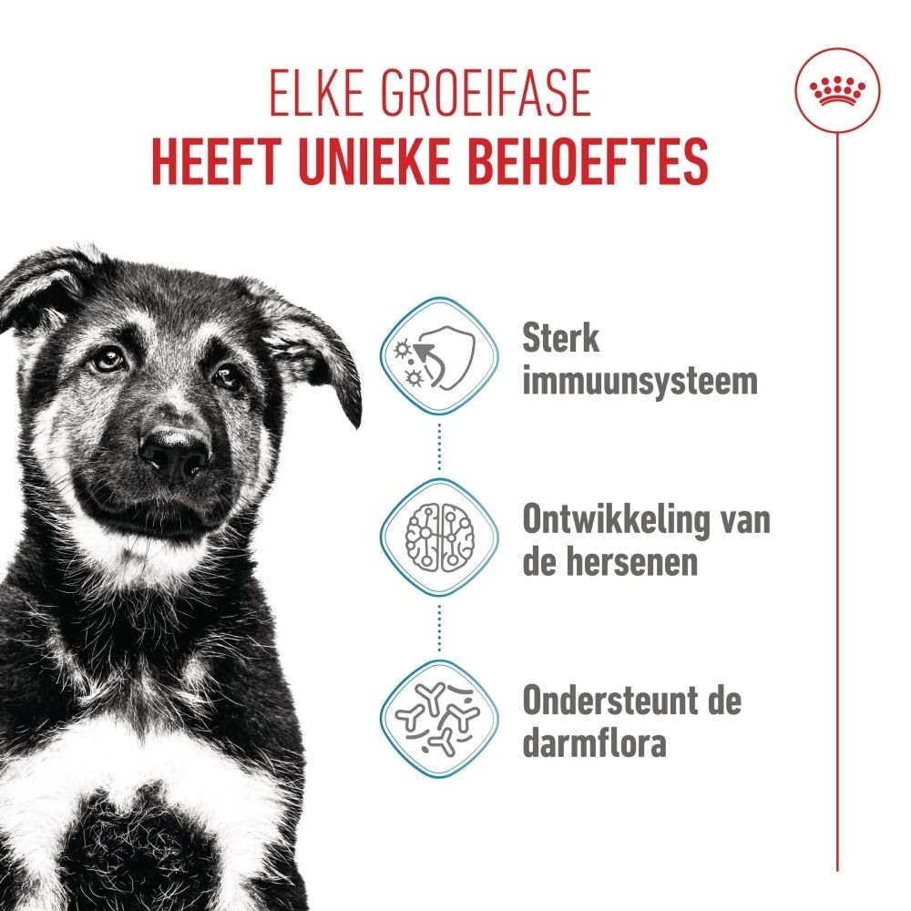 Achterkant van de zak ROYAL CANIN® Maxi Puppy. Tekst en informatie. Blauwe en witte verpakking.