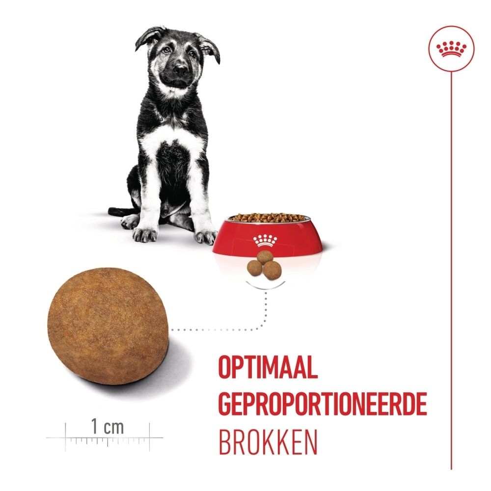 Zijaanzicht van de zak ROYAL CANIN® Maxi Puppy. Tekst en informatie. Blauwe en witte verpakking.