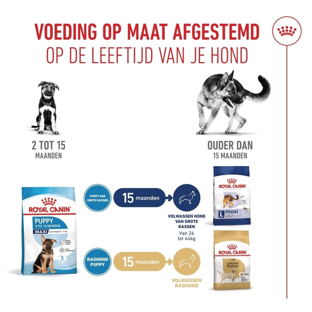 Grafiek met ROYAL CANIN® Puppy. Een puppy, een kom en brokjes worden getoond.