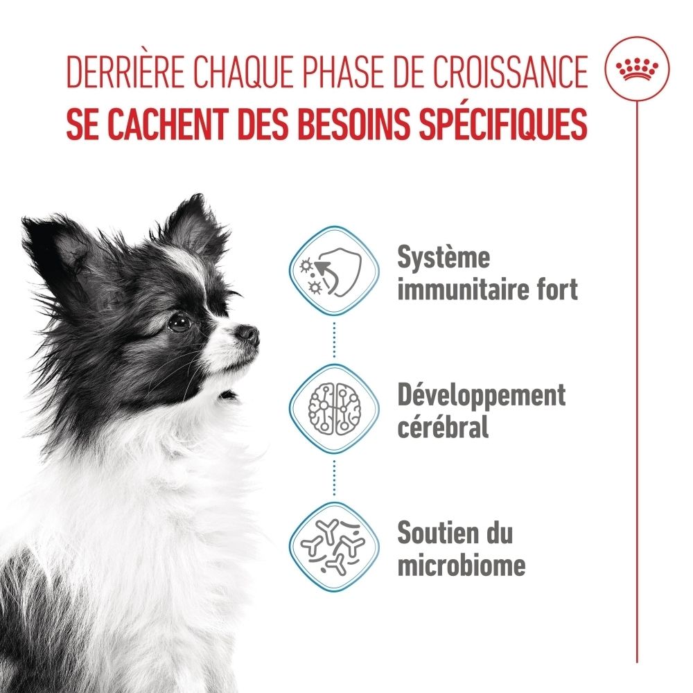 Aliment Royal Canin SHN PUPPY X-SMALL : chiot avec icônes pour système immunitaire et développement cérébral.