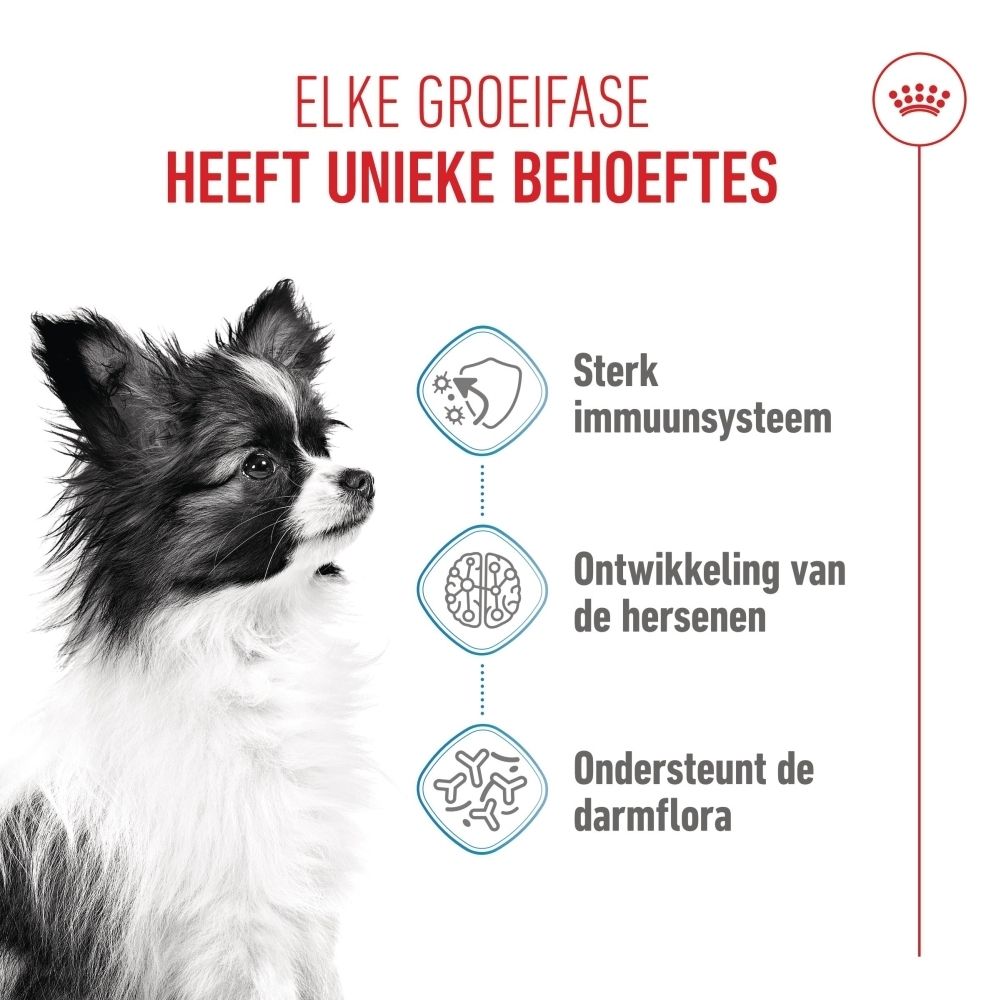 Royal Canin SHN PUPPY X-SMALL voer: puppy met iconen voor immuunsysteem en hersenontwikkeling.