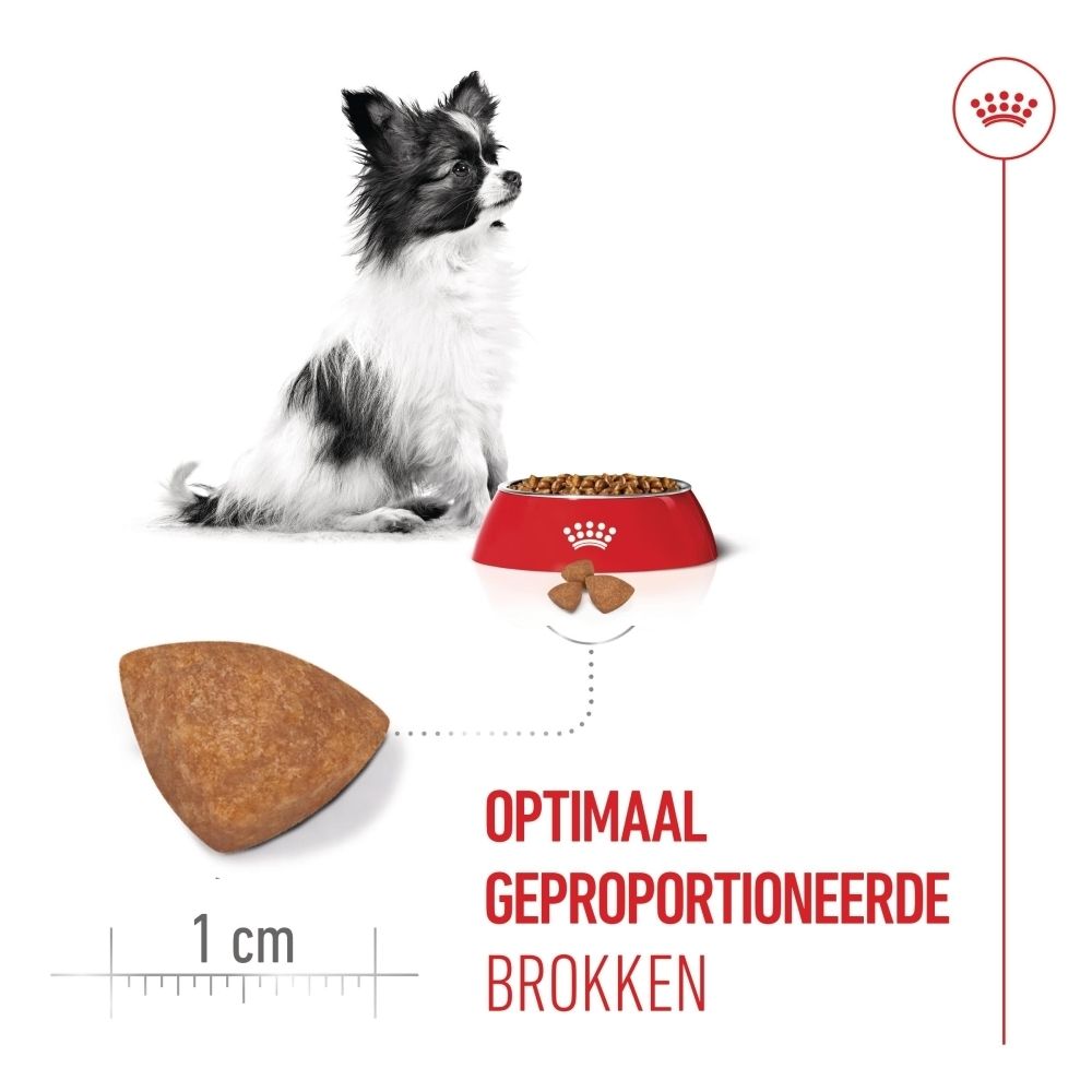 Royal Canin SHN PUPPY X-SMALL voer: puppy, voerbak en close-up van een 1cm grote brok.