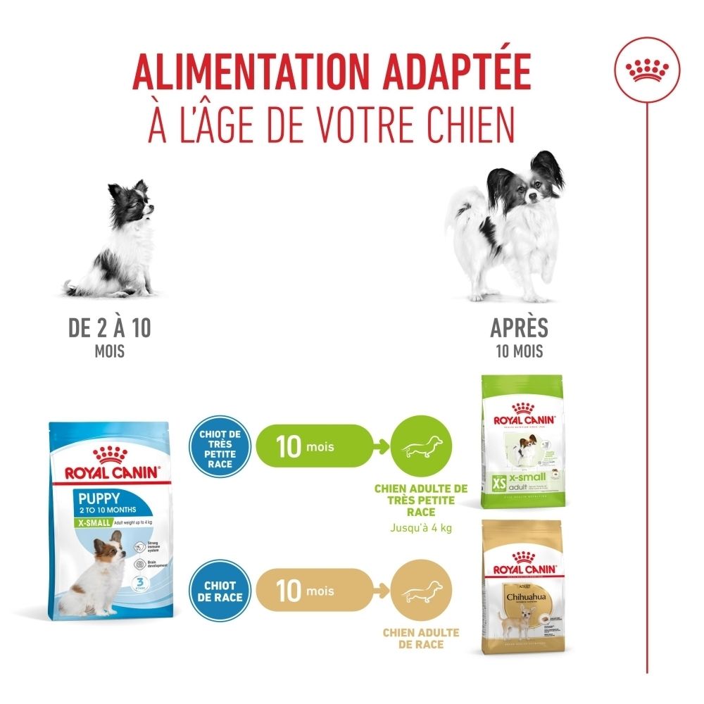 Aliment Royal Canin SHN PUPPY X-SMALL : guide d'alimentation pour chiots jusqu'à 10 mois.
