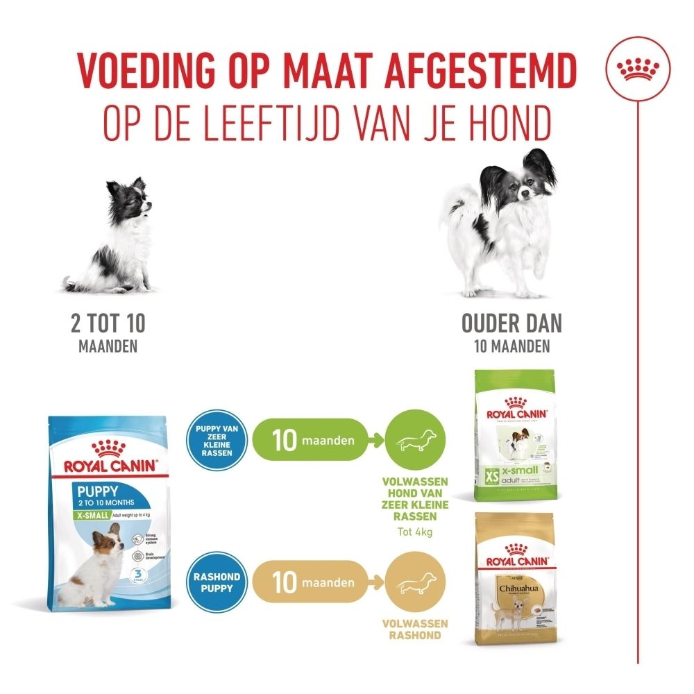 Royal Canin SHN PUPPY X-SMALL voer: voedingsgids voor puppy's tot 10 maanden.