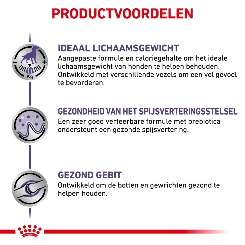 Hond-icoon met KG-aanduiding voor ideaal lichaamsgewicht.
