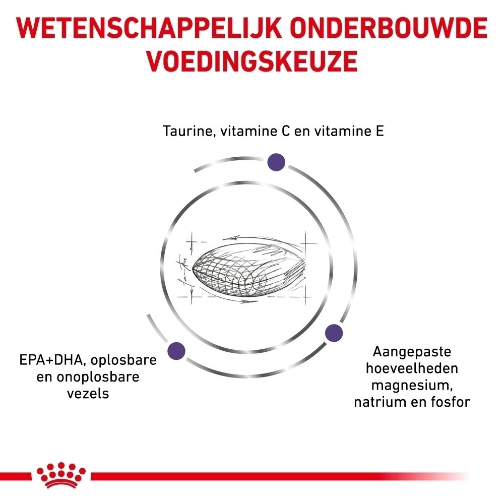 ROYAL CANIN® VETERINARY DIET Adult: Bevordert een gezond milieu van de urinewegen.