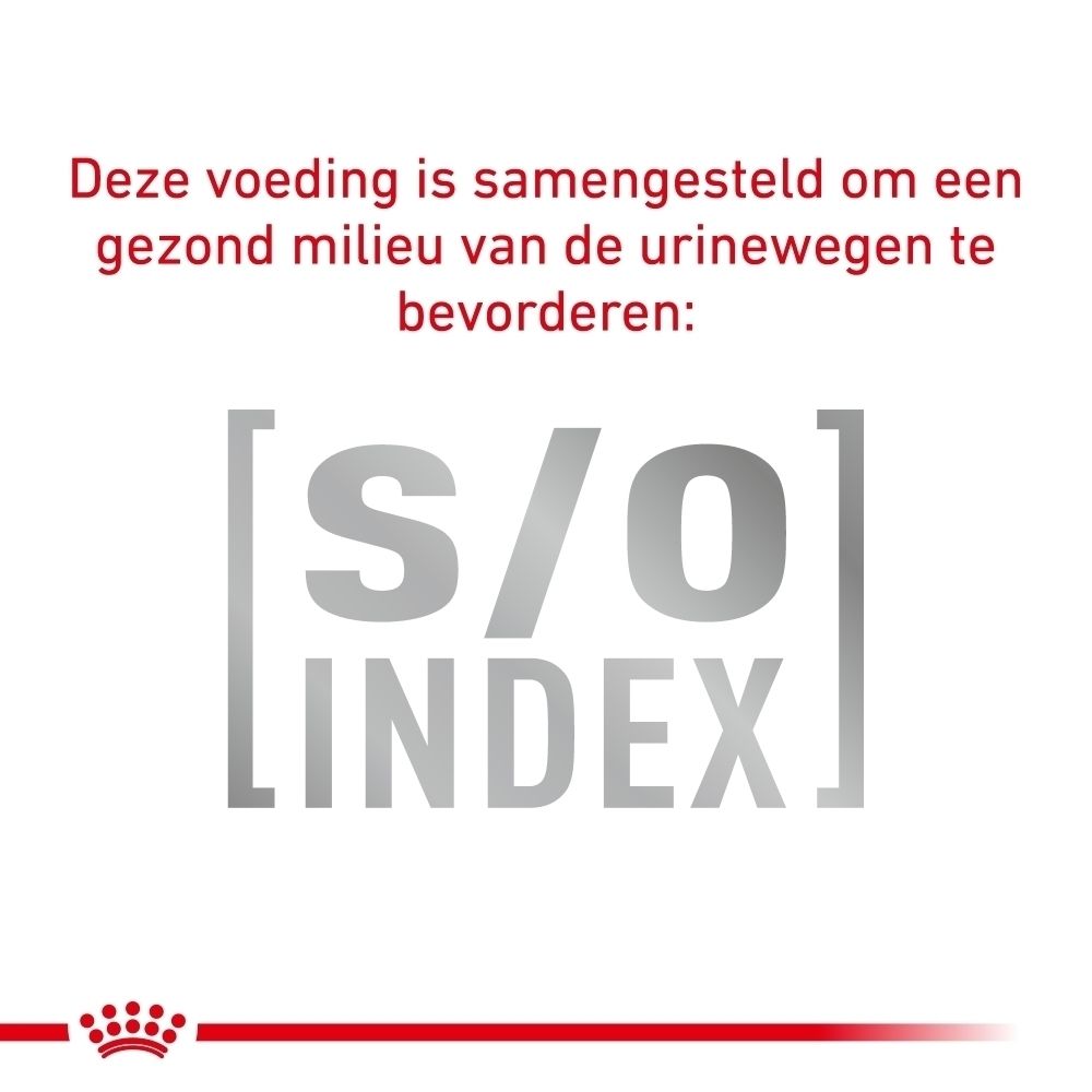Grafiek over optimale voeding voor katten op basis van gewicht en lichaamsconditie.