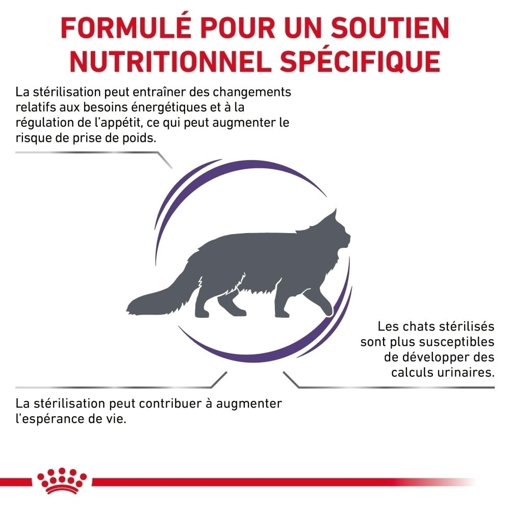 Sac d'alimentation avec image de chat et texte sur le soutien nutritionnel spécifique.