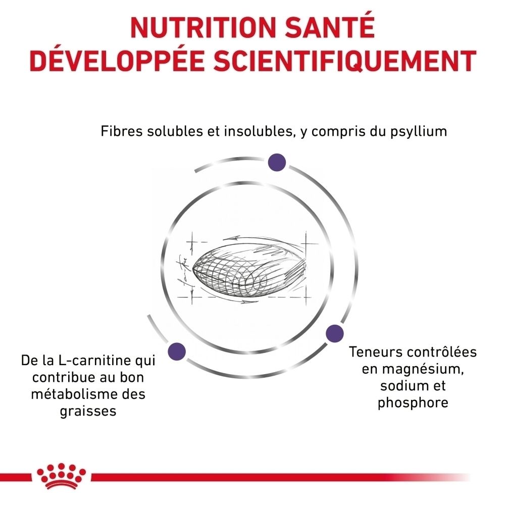 Sac d'aliments et barquette 'NEUTERED BALANCE'. Comprend une barquette de bouchées en sauce.