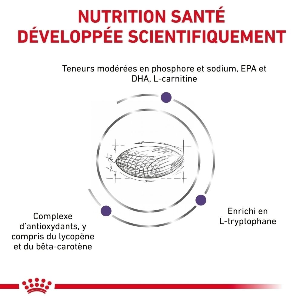 Vue latérale d'un sac de nourriture Royal Canin Mature Consult pour chien.