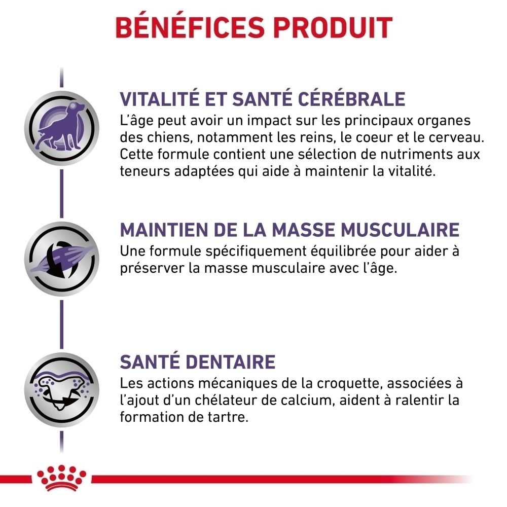 Vue en perspective d'un sac de nourriture Royal Canin Mature Consult pour chien.