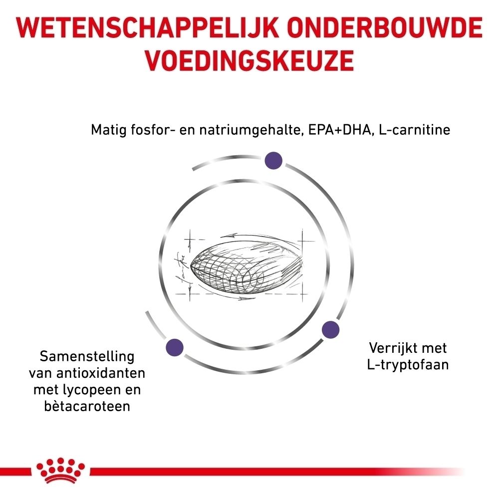 Perspectivisch aanzicht van een zak Royal Canin Mature Consult hondenvoer.