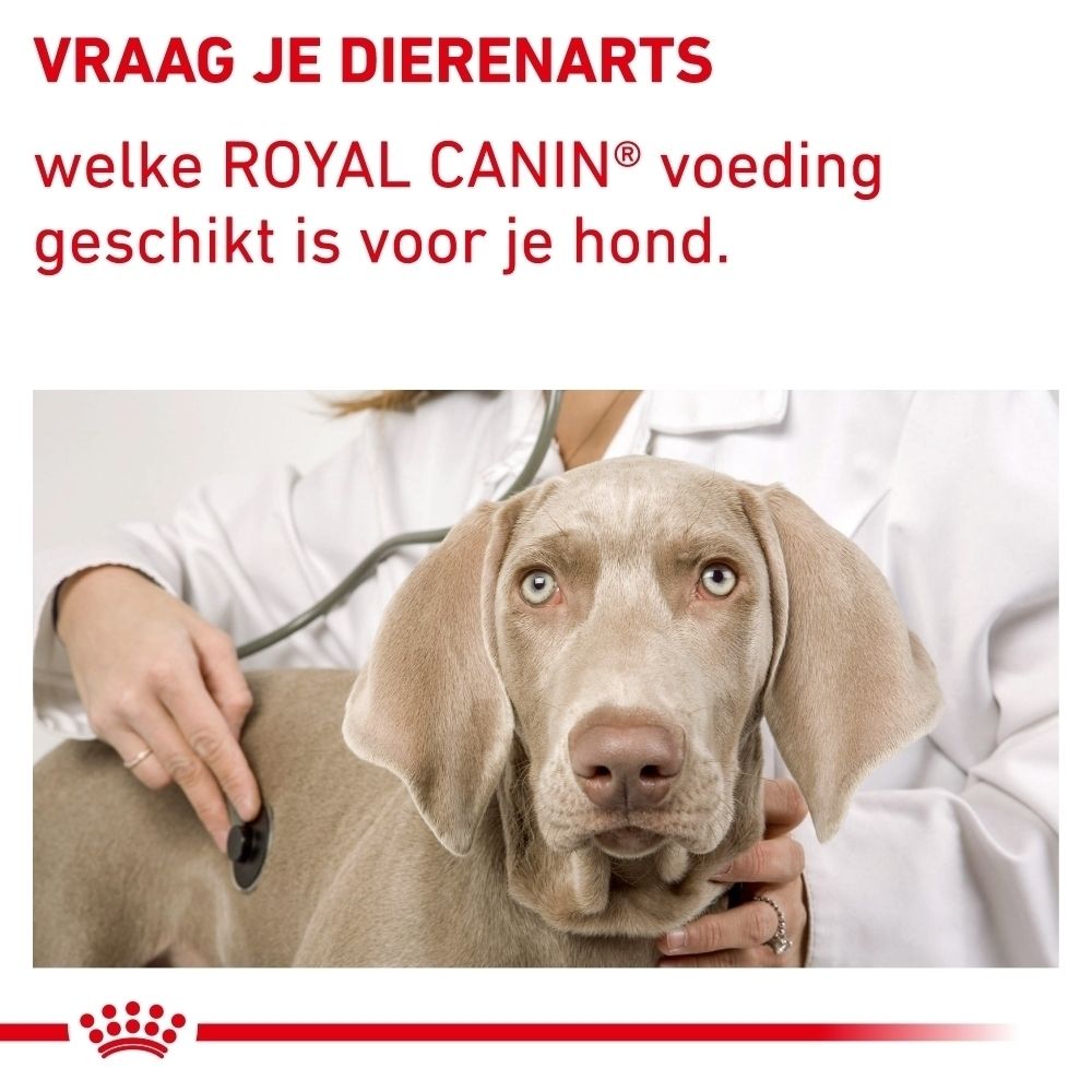 Grafiek over productvoordelen: vitaliteit, spiermassa, gebitsgezondheid.