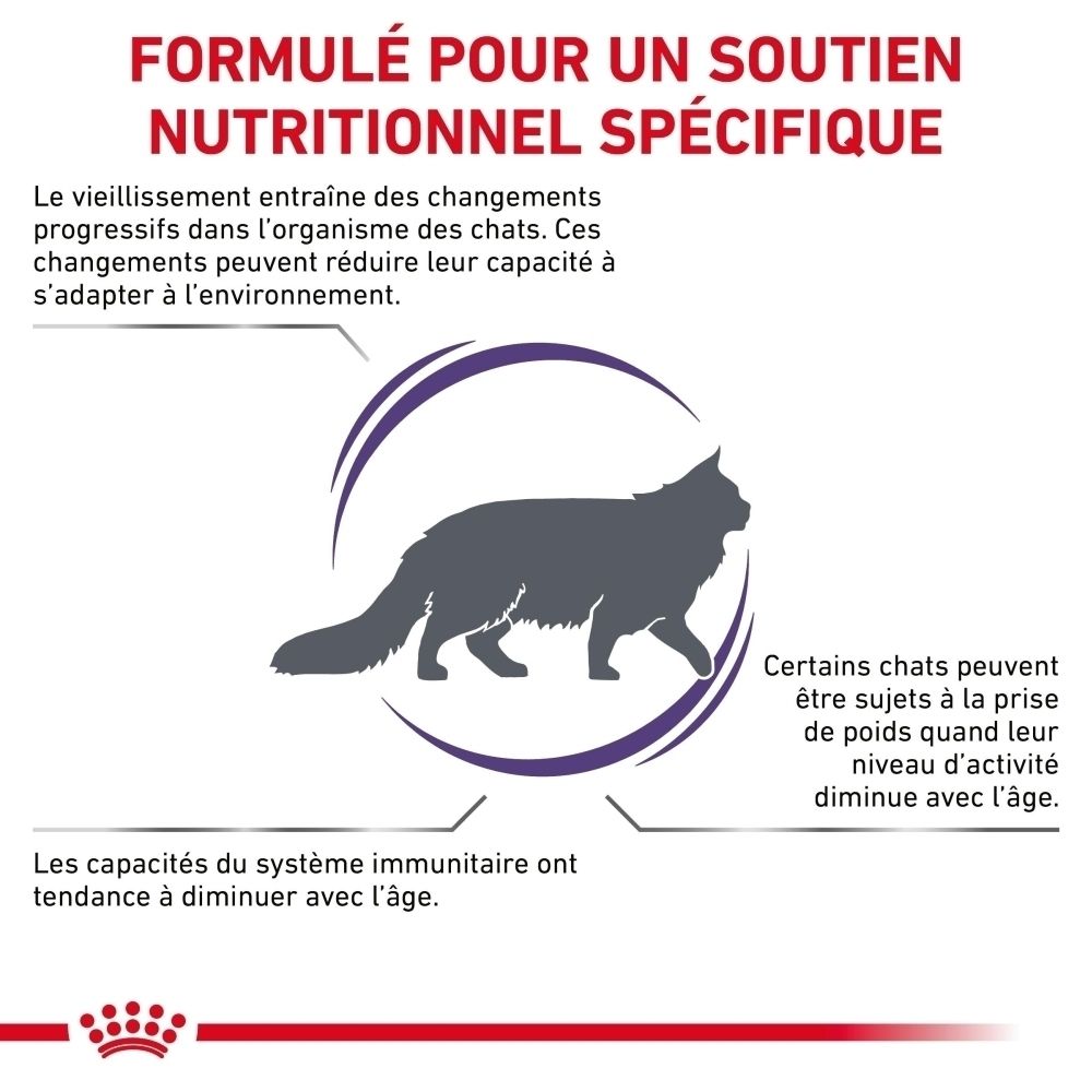 ROYAL CANIN Senior Consult Balance : informations sur le soutien nutritionnel spécifique pour chats.