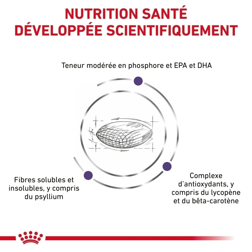 ROYAL CANIN Senior Consult Balance : Nutrition santé développée scientifiquement pour chats.