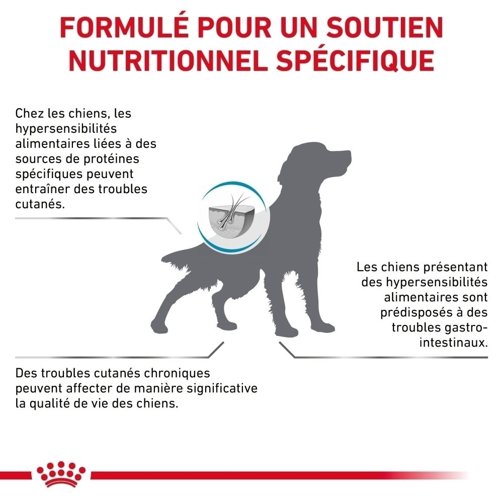 Guide d'alimentation Royal Canin Anallergenic pour chien selon le poids et la condition corporelle.