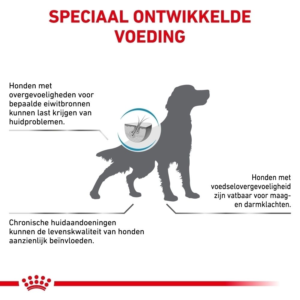 Voedingsrichtlijnen voor Royal Canin Anallergenic hondenvoer op basis van gewicht en lichaamsconditie.