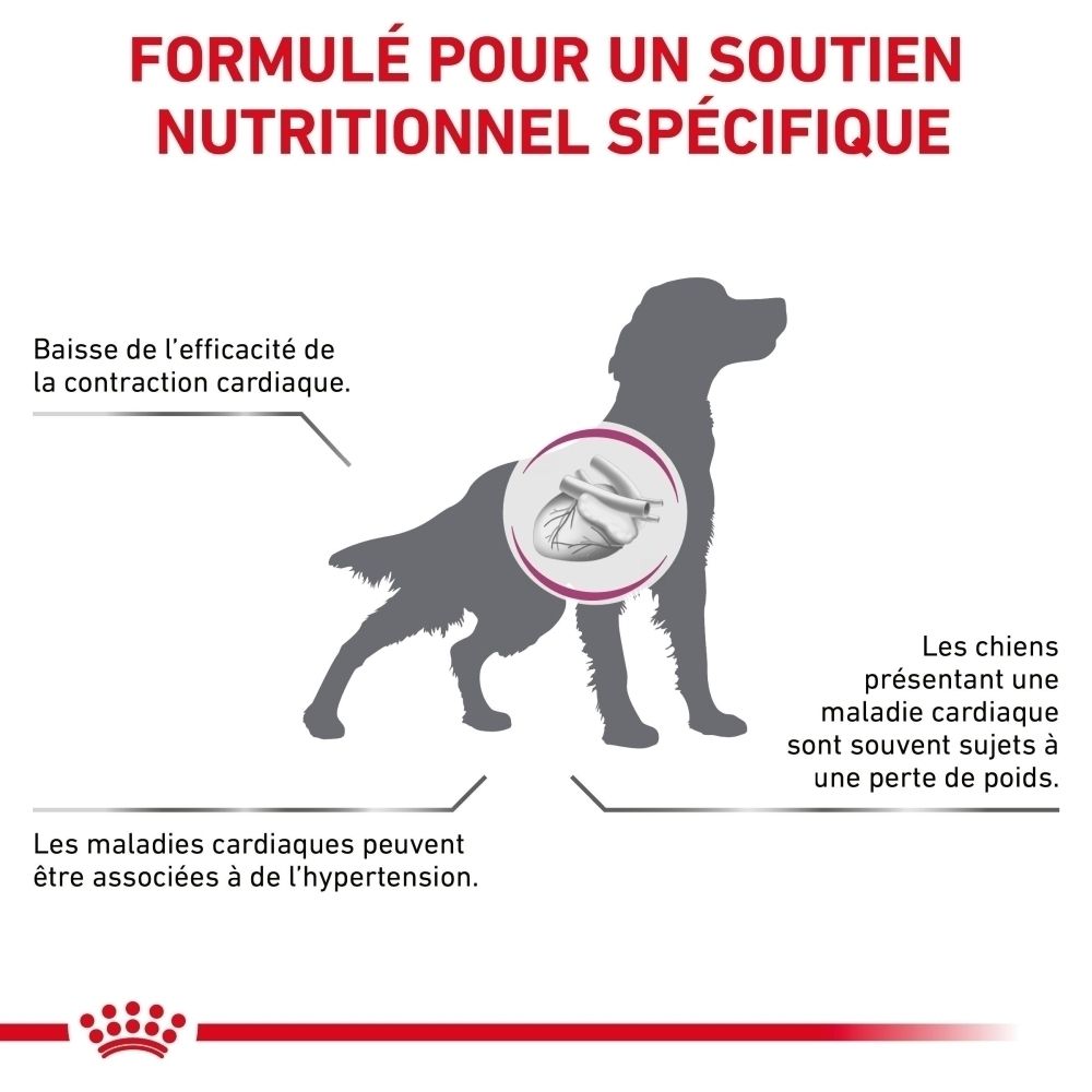 Illustration d'un chien avec le cœur mis en évidence et texte sur la santé cardiaque et la perte de poids.