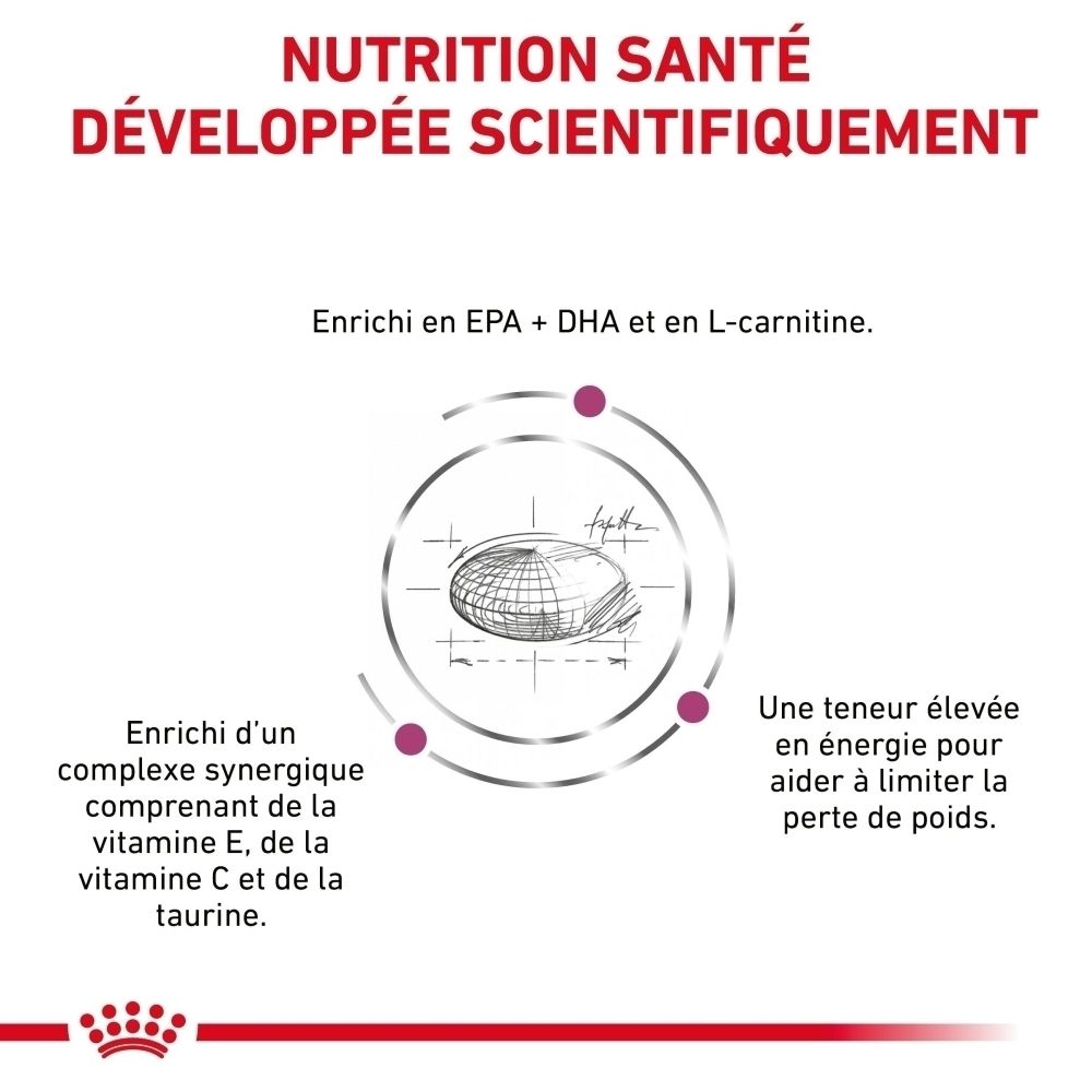 Graphique avec texte : Nutrition santé développée scientifiquement, enrichie en EPA+DHA, L-Carnitine, Vitamine E, C et Taurine.
