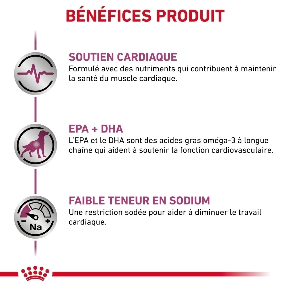 Icône d'un battement de cœur illustrant le soutien cardiaque.